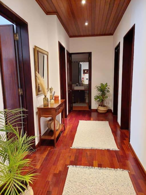 Charming Avenue Apartment Distrikt Distrikt Faro Exterior foto
